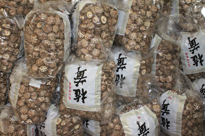 切足白花菇AA級(jí)